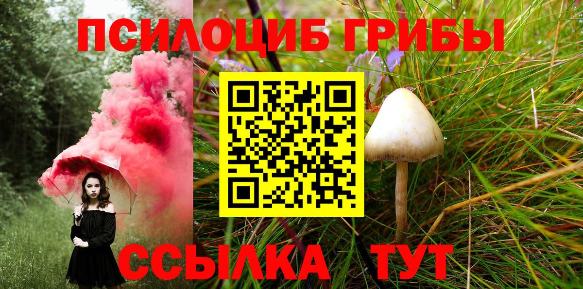 Гагарин  Псилоцибиновые грибы MAGIC MUSHROOMS  Вход с VPN 